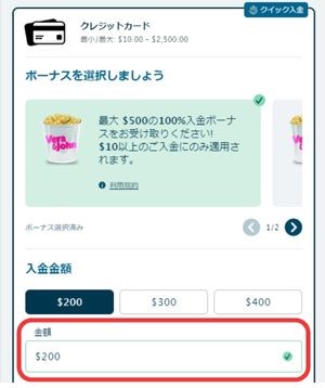 クレジットカード　入金したい入金額を入金