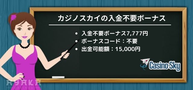 入金不要ボーナス カジノ スカイ 