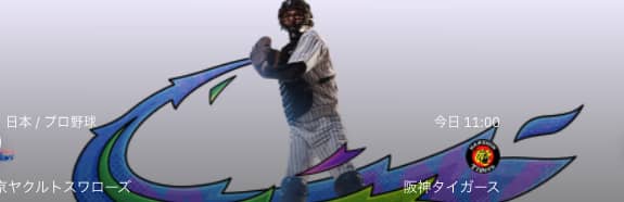 テッド ベット のスポーツベット